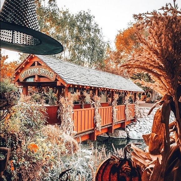 Meet your Posher, Ami - Picture 1 of 1